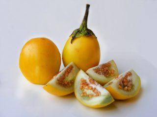 Keltaiset munakoiso-lajikkeet