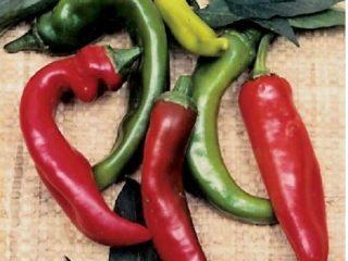 Chili