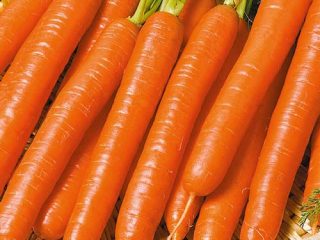 Vitamin Carrot 6