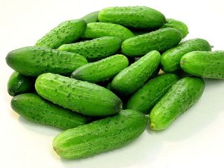 Jenis timun yang paling awal masak