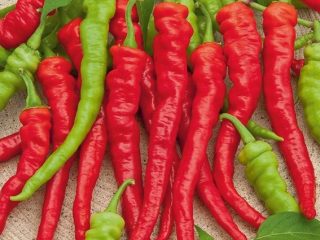 De beste variantene av varm rød paprika: fordeler, dyrking