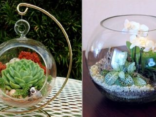 Florarium: DIY-luomisen kaikki vaiheet
