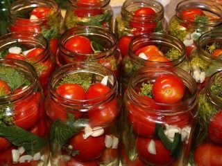 Jenis tomato terbaik untuk pengambilan acar dan pengetinan