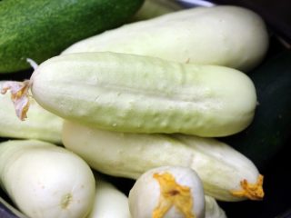 De mest produktive agurkehybrider