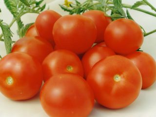 Tomātu Aurora