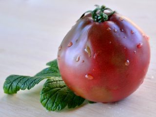 Tomat japansk trøffel