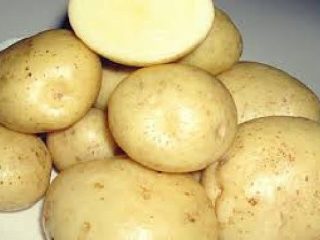Perunamelodia