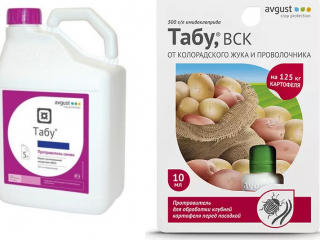 Tabu, stādot kartupeļus: atsauksmes