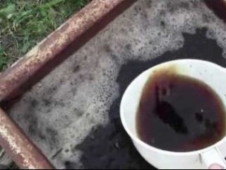 Pomidorų šėrimas vištienos išmatomis