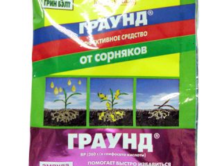 Herbicide Ground - kawalan rumpai: ulasan