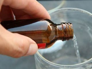 Pārstrādājot zemenes ar amonjaku pavasarī