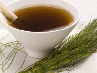 Zemeņu slimības un kaitēkļi: ārstēšana ar tautas līdzekļiem