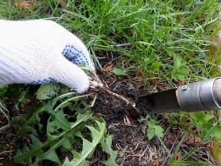 DIY rikkakasvien poistaja