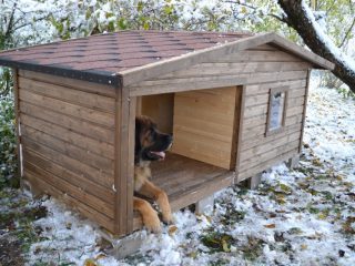 Hvordan lage et varmt hundehus med egne hender