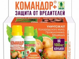 Komentaja Coloradon perunakuoriaisesta: arvostelut