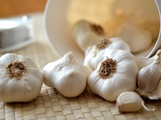 Preparare l'aglio per la conservazione