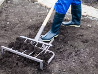 Miracle Shovel Plowman