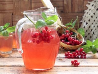 Viburnum sula: ieguvumi un kaitējums