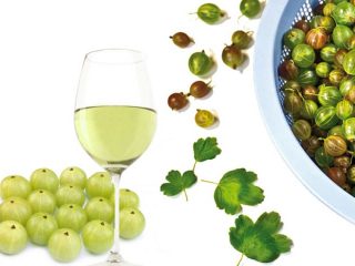 Mājas ērkšķogu vīns