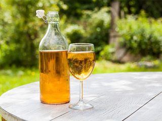 Mājas ābolu sulas vīns: recepte