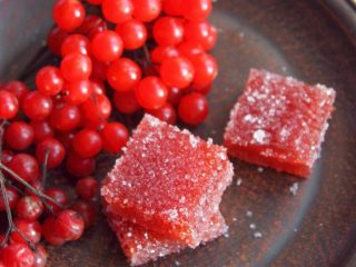 Apa yang perlu dimasak dari viburnum merah: resipi