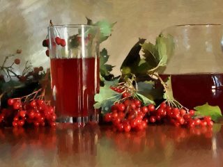 Hvordan lage en tinktur av viburnum