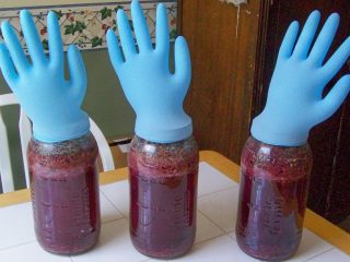 Vīns no ievārījuma mājās