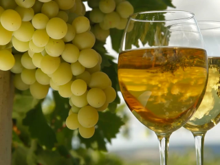 Mājas baltvīns no vīnogām: vienkāršas receptes