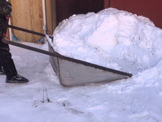 Skraber-skraber Snowxpert 143021