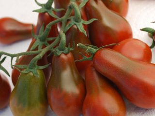 Tomato Pear: ciri-ciri dan penerangan mengenai pelbagai