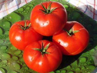Tomato Bobcat F1: keterangan, foto, ulasan
