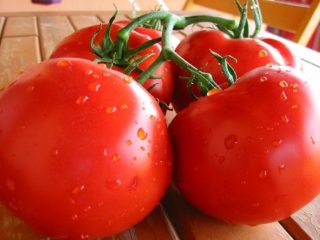 Tomato Polbig f1: ulasan, foto semak