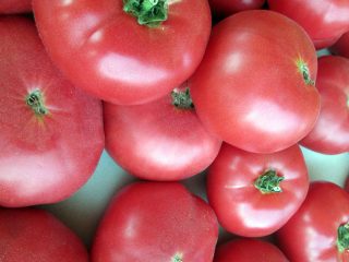 Tomatrosa kinn: anmeldelser, bilder
