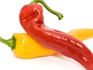 Pepper Ramiro: kasvaa ja hoitaa