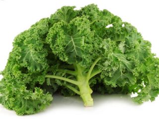 Kale-kaali: valokuvan kuvaus
