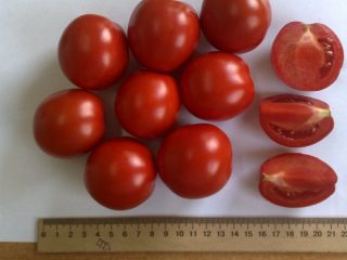 Pomidoras Perfectpil F1