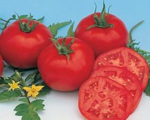 Tomato Moskvich: ulasan, gambar