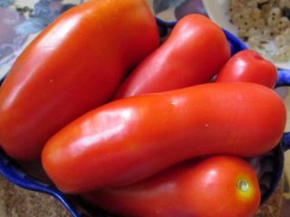 Tomato Casanova: ciri dan keterangan mengenai pelbagai