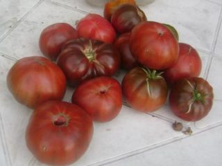 Tomatvannmelon: bildevurderinger