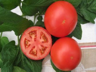 Pomodoro Anyuta F1: caratteristiche e descrizione della varietà