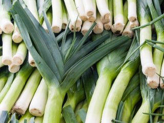 Leek Karantansky: คำอธิบายบทวิจารณ์