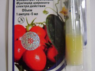 Fungicidas Quadris: vynuogių, pomidorų vartojimo lygis