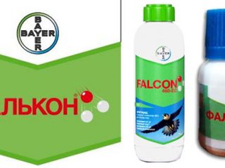Fungisida Falcon