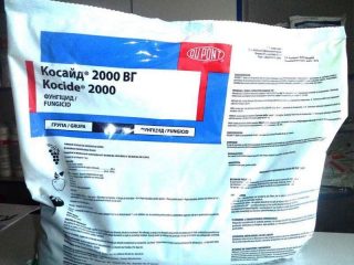 Fungisida Coside 2000