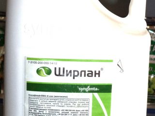 Fungisida Shirlan
