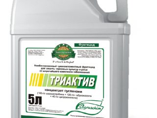 Triaktiv kulat