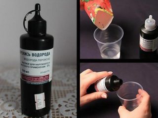 Hvordan vanne frøplanter med hydrogenperoksid