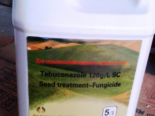 Tebuconazole kulat
