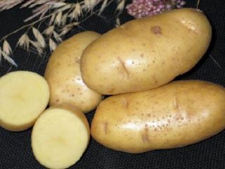 Perunan ohjattu toiminto