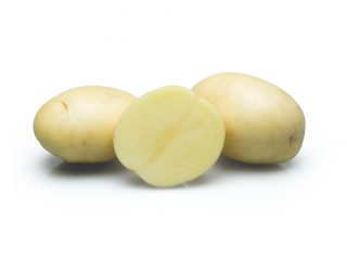 Poteter Labadia: egenskaper, planting og stell